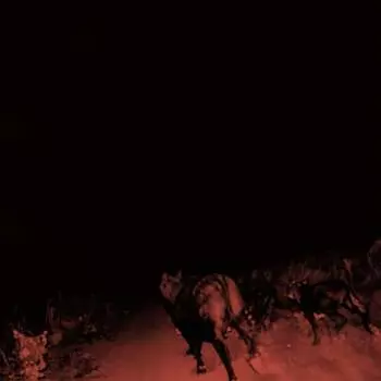 Виниловая пластинка Bambara - Shadow On Everything