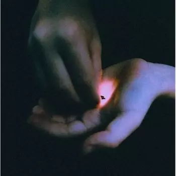 Виниловая пластинка Bambara - Stray