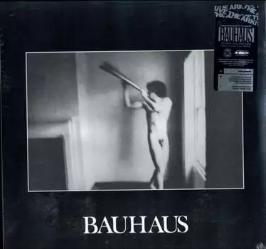 Виниловая пластинка Bauhaus - In The Flat Field