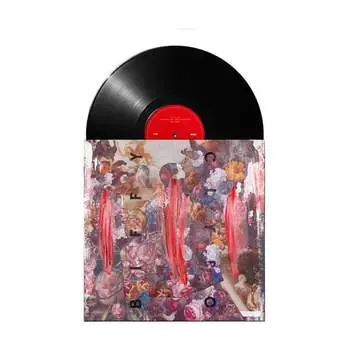 Виниловая пластинка Biffy Clyro - Errors In The History Of God / Unknown Male