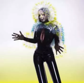 Виниловая пластинка Bjork - Vulnicura