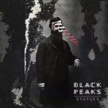 Виниловая пластинка Black Peaks - Statues