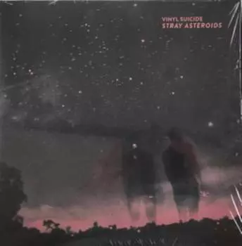 Виниловая пластинка Blackspin Records - Stray Asteroids