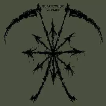 Виниловая пластинка Blackwood - Of Flies