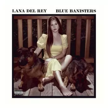 Виниловая пластинка Blue Banisters (2 Discs) | Lana Del Rey