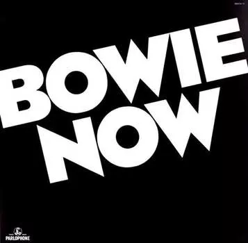 Виниловая пластинка Bowie David - Now