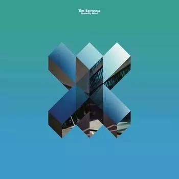Виниловая пластинка Bowness Tim - Butterfly Mind
