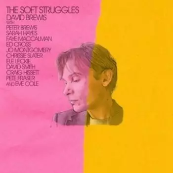 Виниловая пластинка Brewis David - Soft Struggles