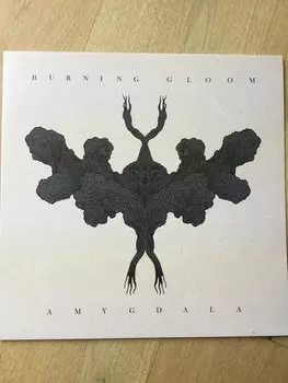 Виниловая пластинка Burning Gloom - Amygdala