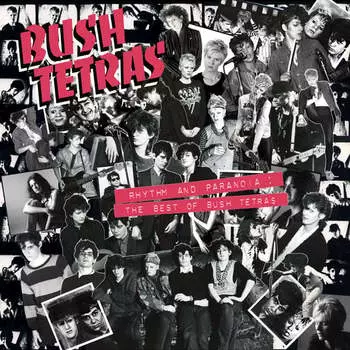 Виниловая пластинка Bush Tetras - Rhythm And Paranoia: The Best Of Bush Tetras