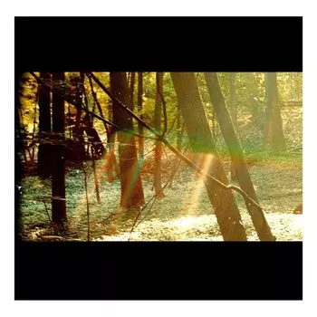 Виниловая пластинка Camp (2 Discs) | Childish Gambino