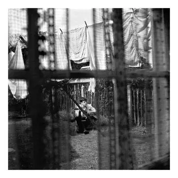 Виниловая пластинка Chaos &amp; Creation In The Backyard | Paul Mccartney