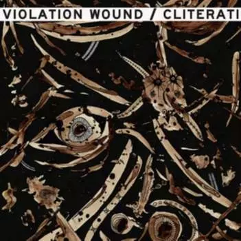 Виниловая пластинка Cliterati/Violation Wound - Split
