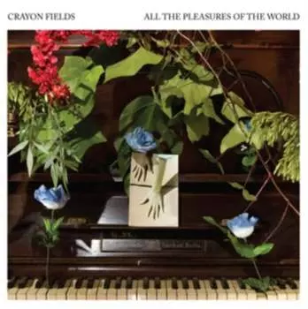 Виниловая пластинка Crayon Fields - All the Pleasures of the World
