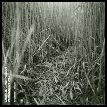 Виниловая пластинка Cunningham Charlie - Permanent Way