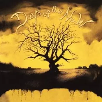 Виниловая пластинка Days of the New - Days of the New