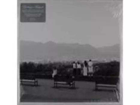 Виниловая пластинка Destroyer - Kaputt