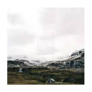 Виниловая пластинка Devil Sold His Soul - Loss (серый винил)