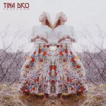 Виниловая пластинка Dico Tina - Fastland
