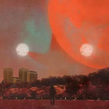 Виниловая пластинка Dohi Erika - I Castorpollux