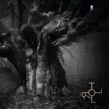 Виниловая пластинка Drott - Troll