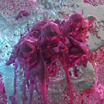 Виниловая пластинка Egyptrixx - Pure Beyond Reproach