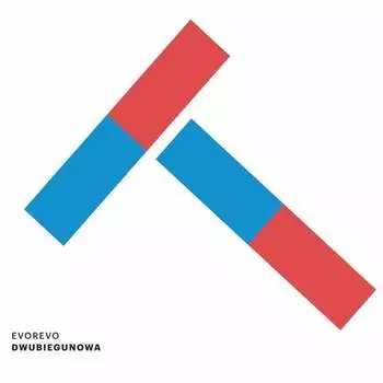 Виниловая пластинка Evorevo - Dwubiegunowa