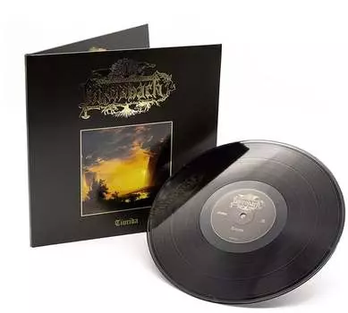 Виниловая пластинка Falkenbach - Asa