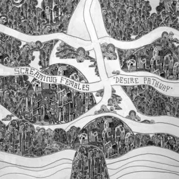 Виниловая пластинка Females Screaming - Desire Pathway