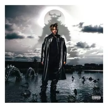 Виниловая пластинка Fighting Demons (2 Discs) | Juice WRLD