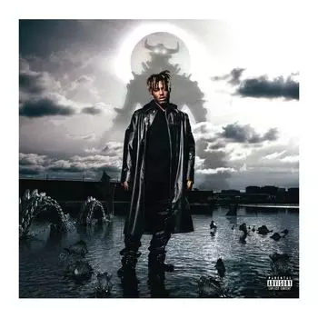 Виниловая пластинка Fighting Demons | Juice WRLD