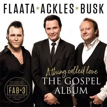 Виниловая пластинка Flaata Paal - The Gospel Album