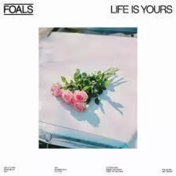 Виниловая пластинка Foals - Life is Yours