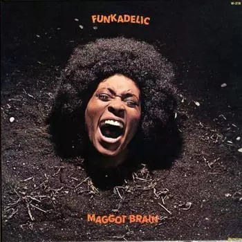 Виниловая пластинка Funkadelic - Maggot Brain