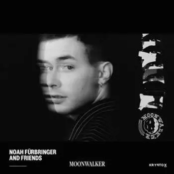 Виниловая пластинка Furbringer Noah - Moonwalker