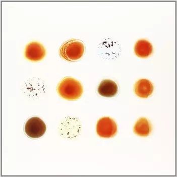 Виниловая пластинка Gabriel Peter - Scratch My Back And I'Ll Scratch Yours