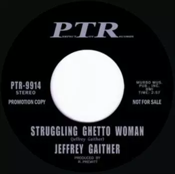 Виниловая пластинка Gaither Jeffrey - Struggling Ghetto Woman