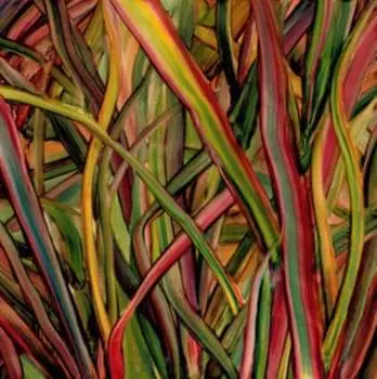 Виниловая пластинка Gengahr - Where Wildness Grows