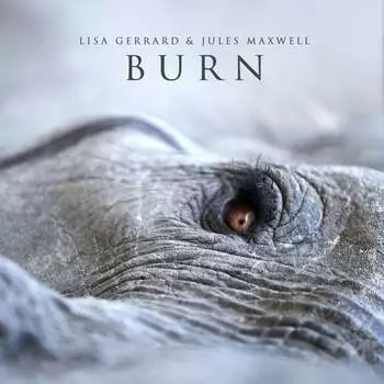 Виниловая пластинка Gerrard Lisa - Burn