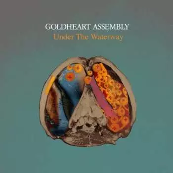 Виниловая пластинка Goldheart Assembly - Under The Waterway