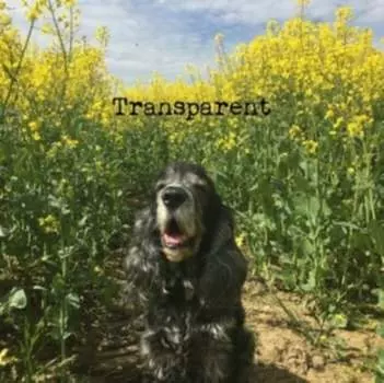 Виниловая пластинка Grant Joshua - Transparent