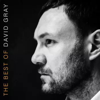 Виниловая пластинка Gray David - David Gray: The Best Of