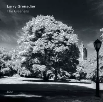 Виниловая пластинка Grenadier Larry - The Gleaners