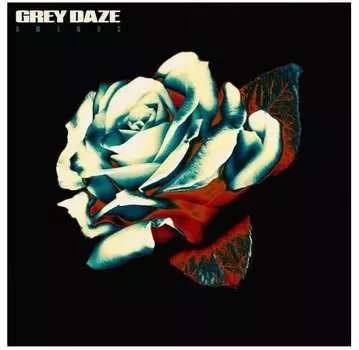 Виниловая пластинка Grey Daze - Amends