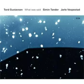 Виниловая пластинка Gustavsen Tord - What Was Said