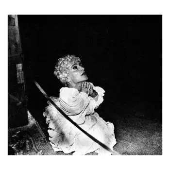 Виниловая пластинка Halcyon Digest | Deerhunter