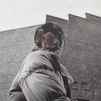 Виниловая пластинка Harding Aldous - Warm Chris