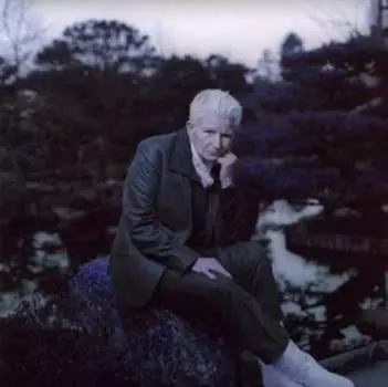 Виниловая пластинка Hardly Art - Androgynous Mary