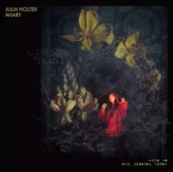 Виниловая пластинка Holter Julia - Aviary