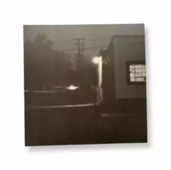 Виниловая пластинка Horn Of Plenty - Old Light